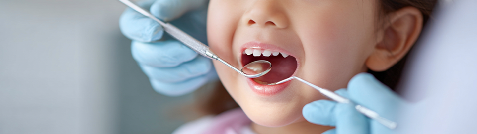 MISA JUNIOR DENTAL CLINIC